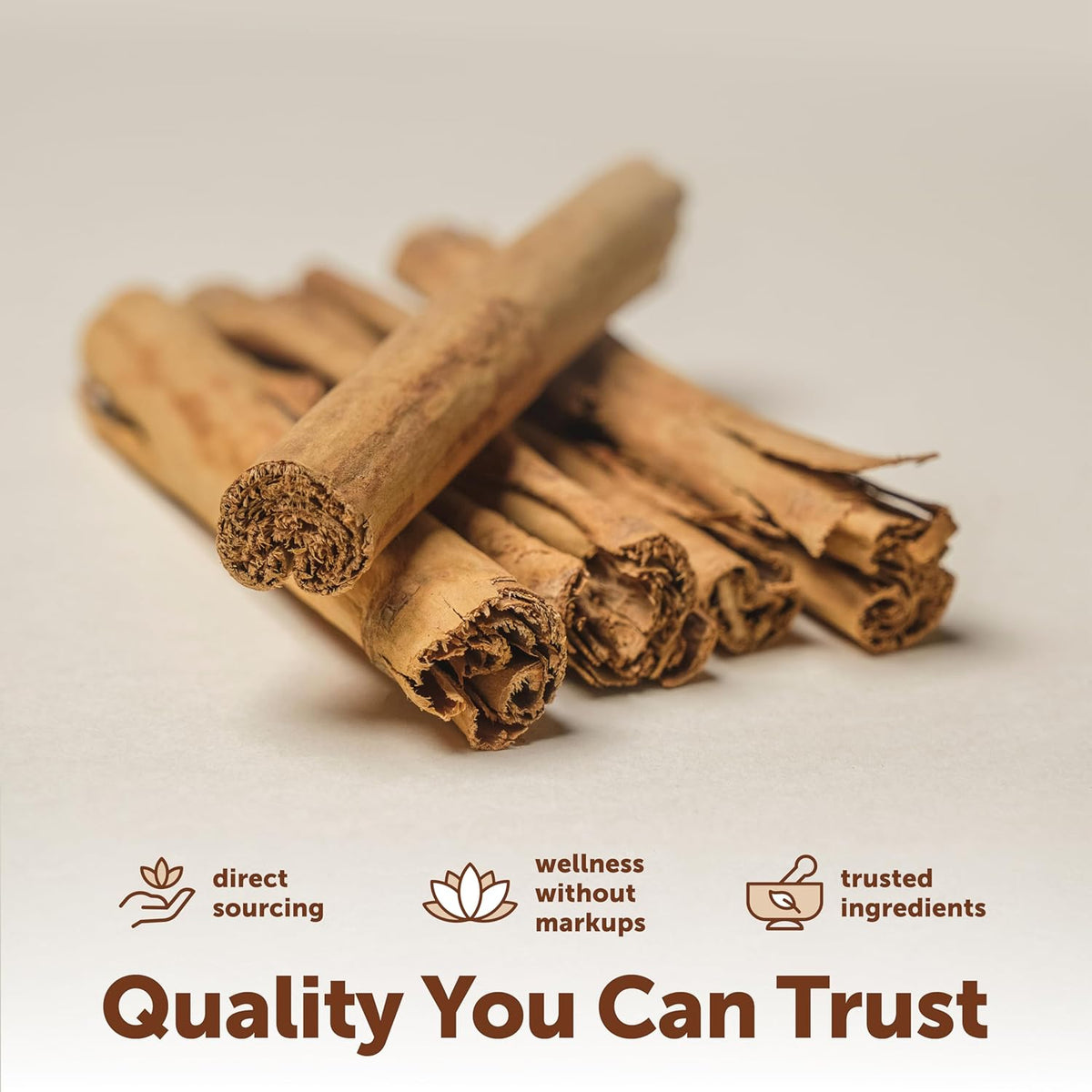 Ceylon Cinnamon Softgels 300ct | with MCT Oil | Blood Sugar Support